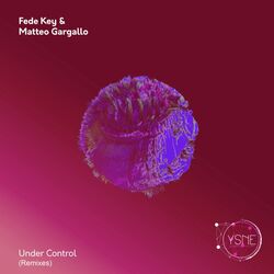 Cover of Under Control (Remixes)