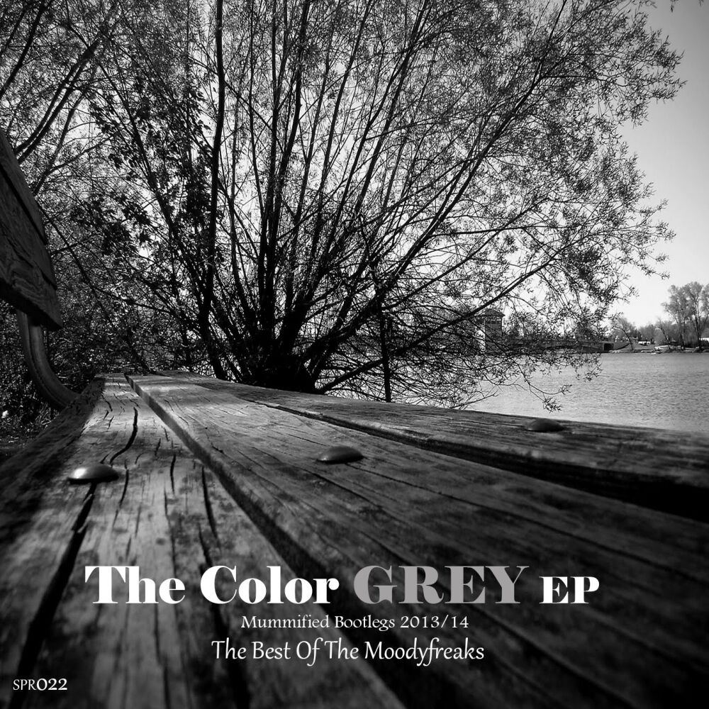 Picture of The Color Grey EP (Mummified Bootlegs 2013 / 2014)