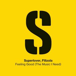 Cover of Feeling Good (The Music I Need)