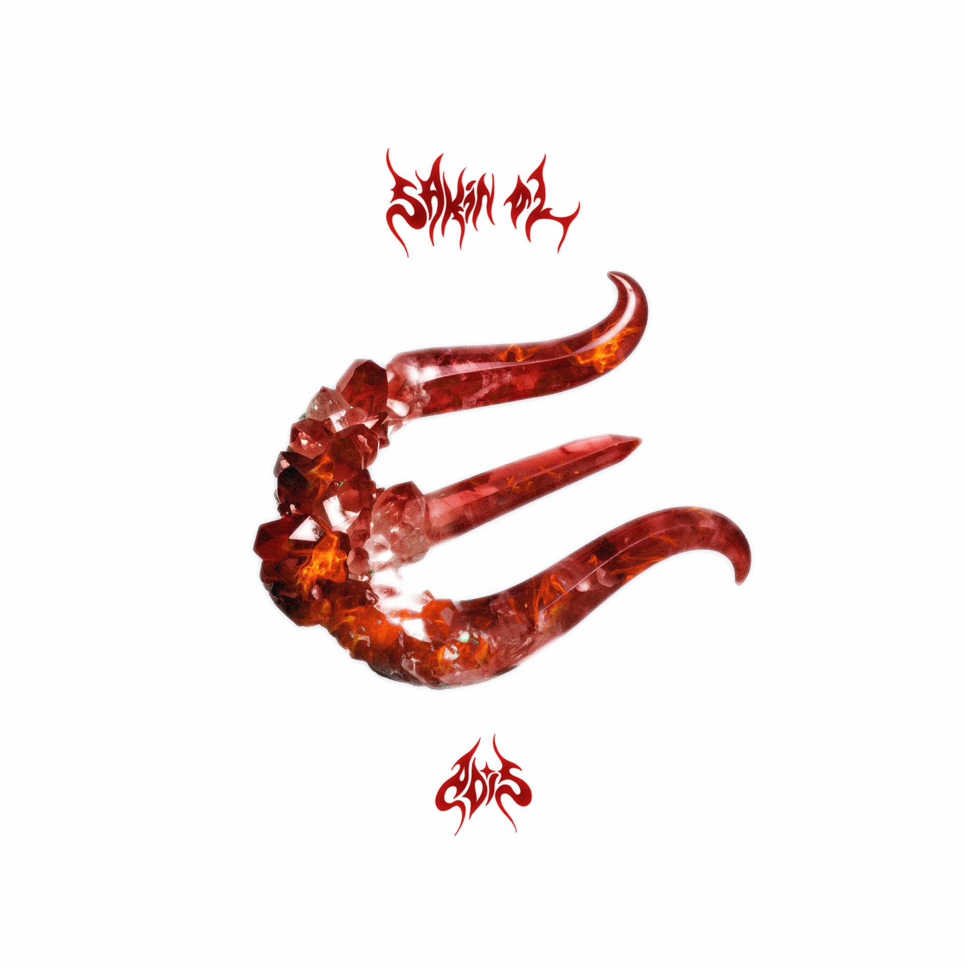 Album cover of Sakin Ol