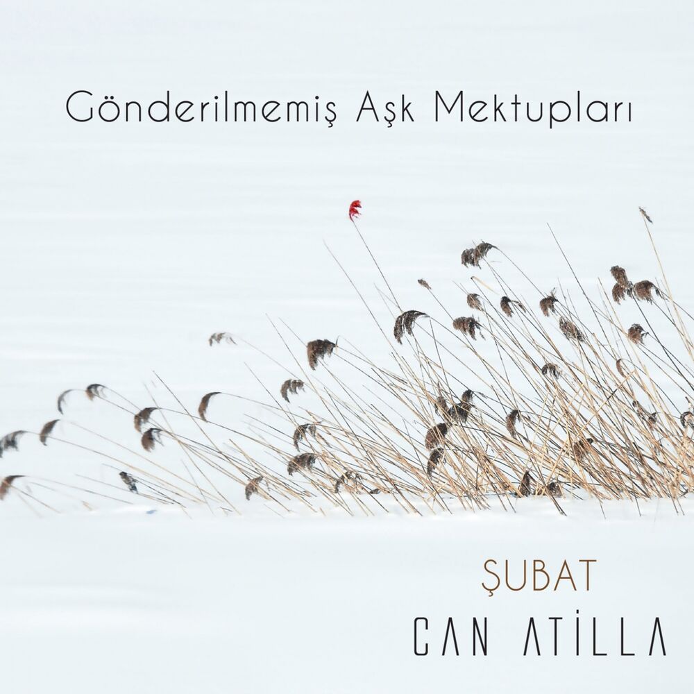 Picture of Gönderilmemiş Aşk Mektupları / Şubat (Akustik Versiyon)