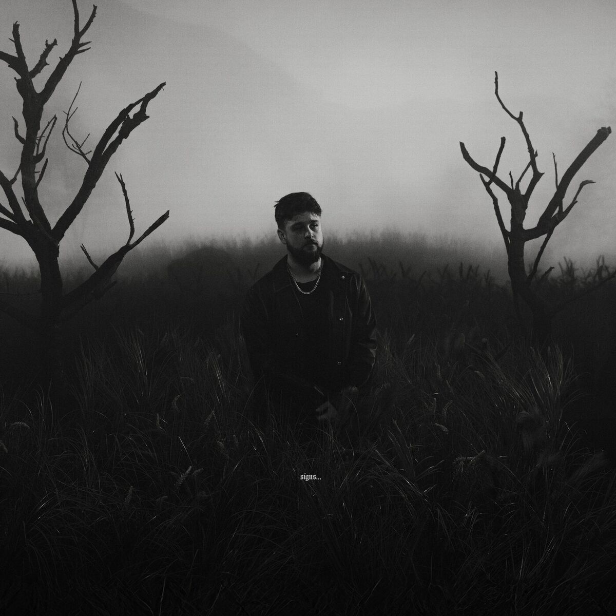 Album cover of signs