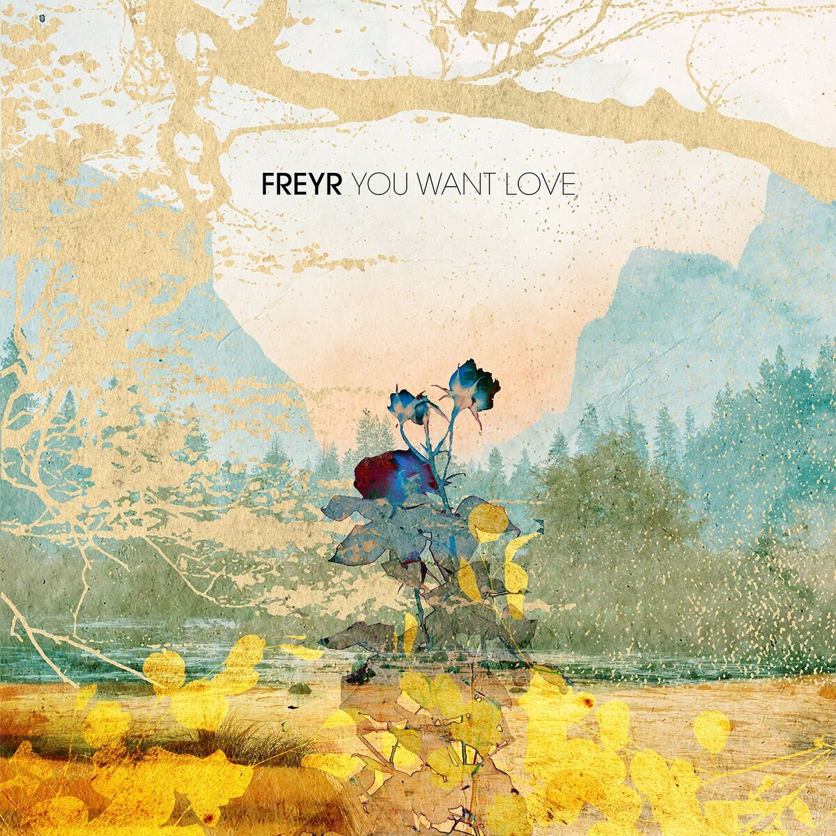 Album cover of You Want Love