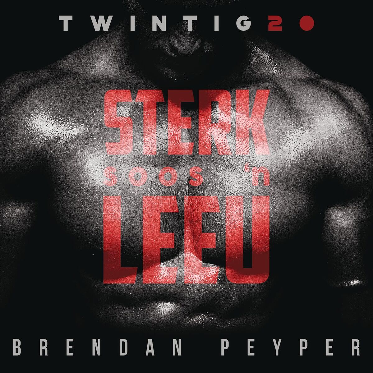 Album cover of Sterk Soos 'n Leeu
