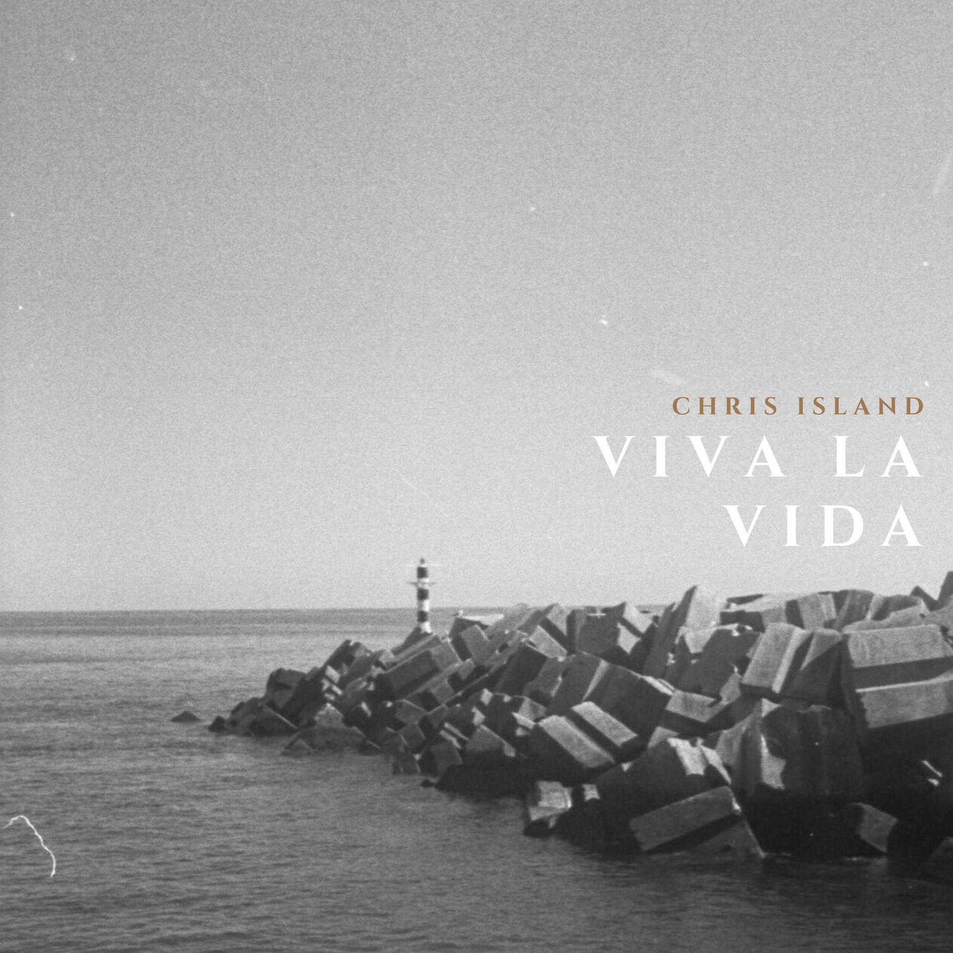 Album cover of Viva La Vida