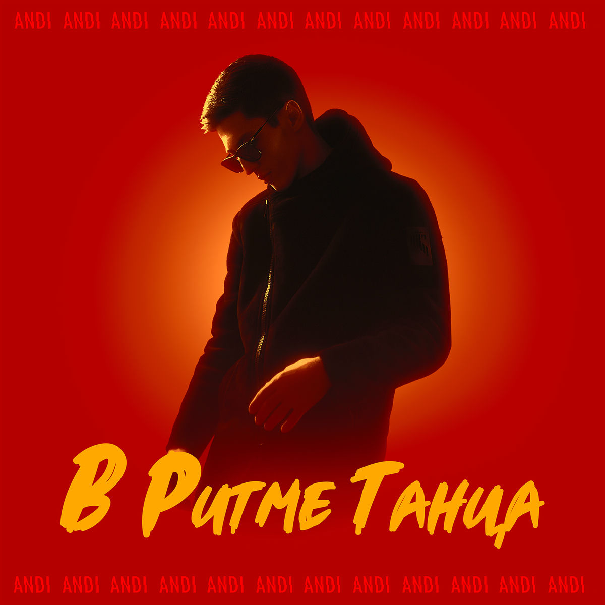 Album cover of V ritme tantsa