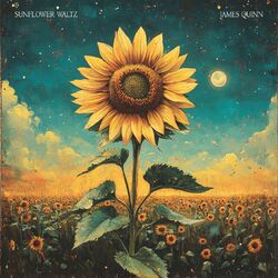 music cover
