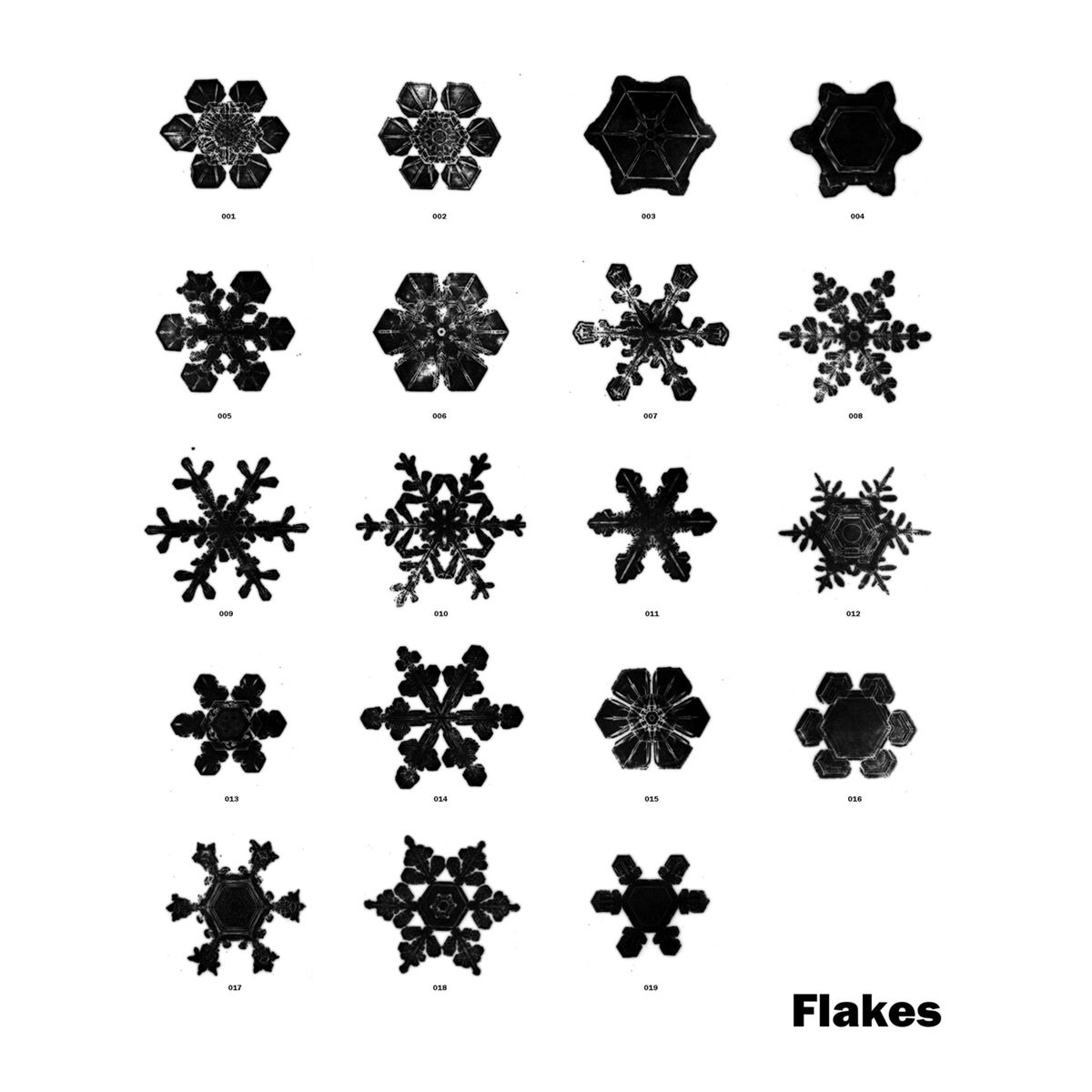Album cover of Flakes