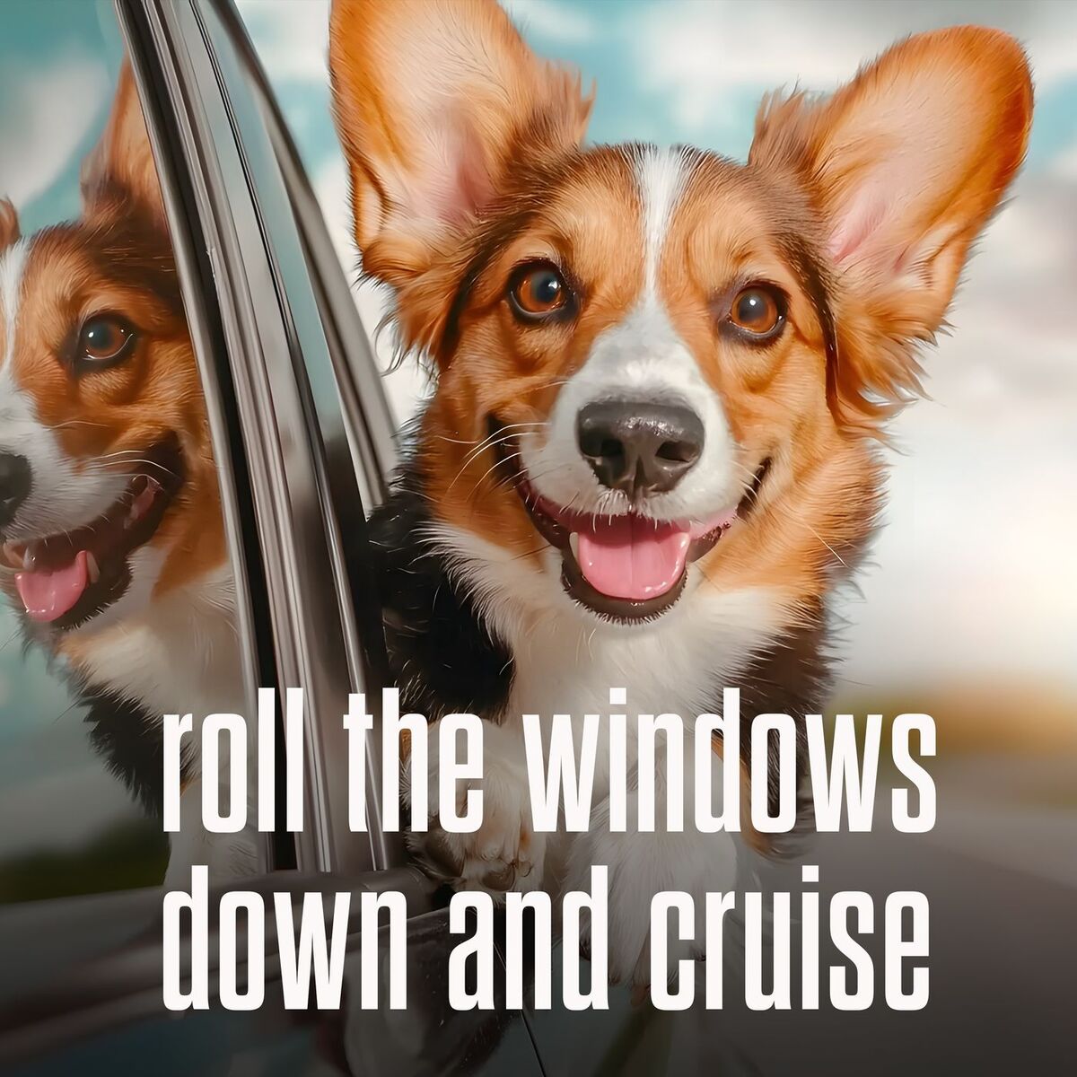 Album cover of roll the windows down and cruise