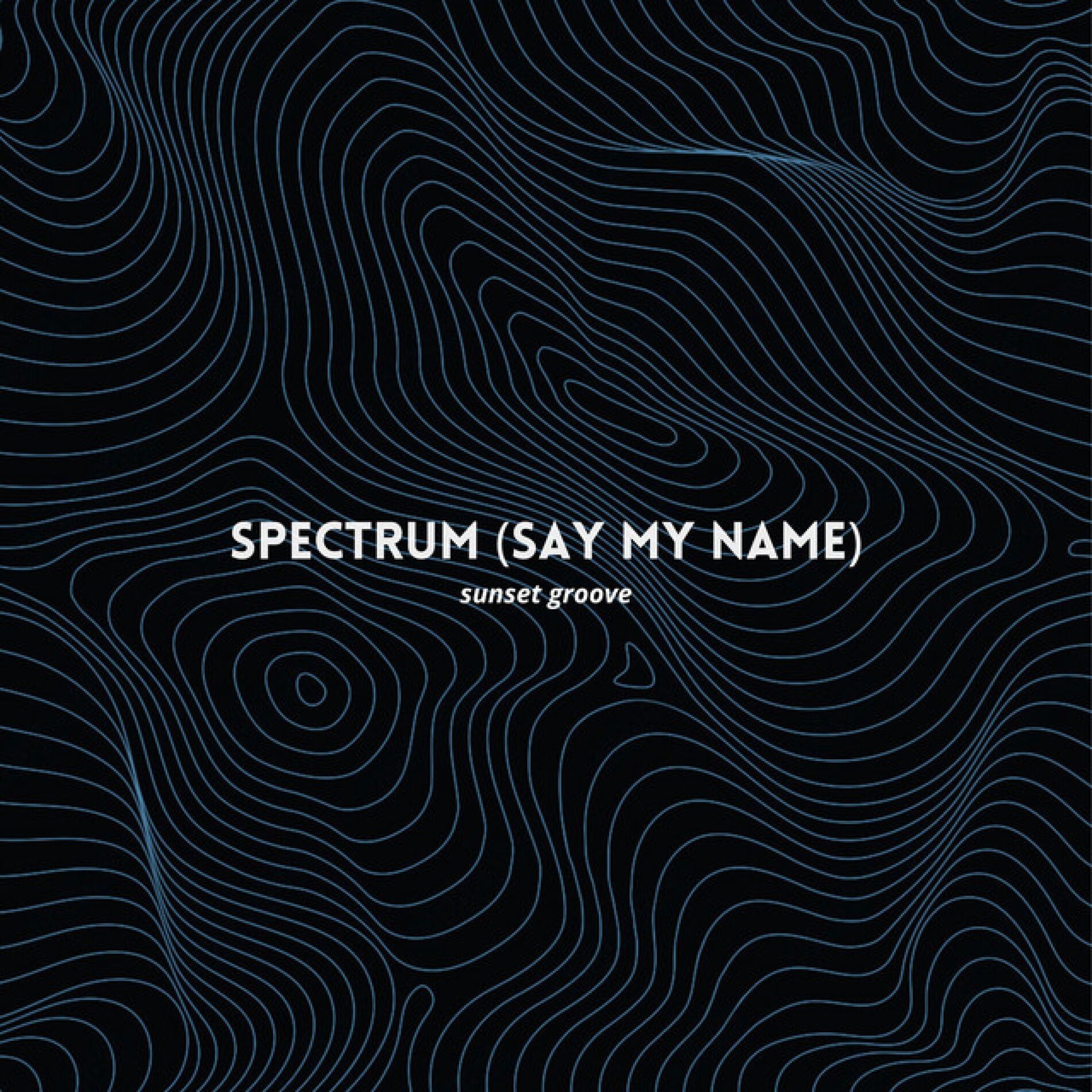 Album cover of Spectrum (Say My Name)