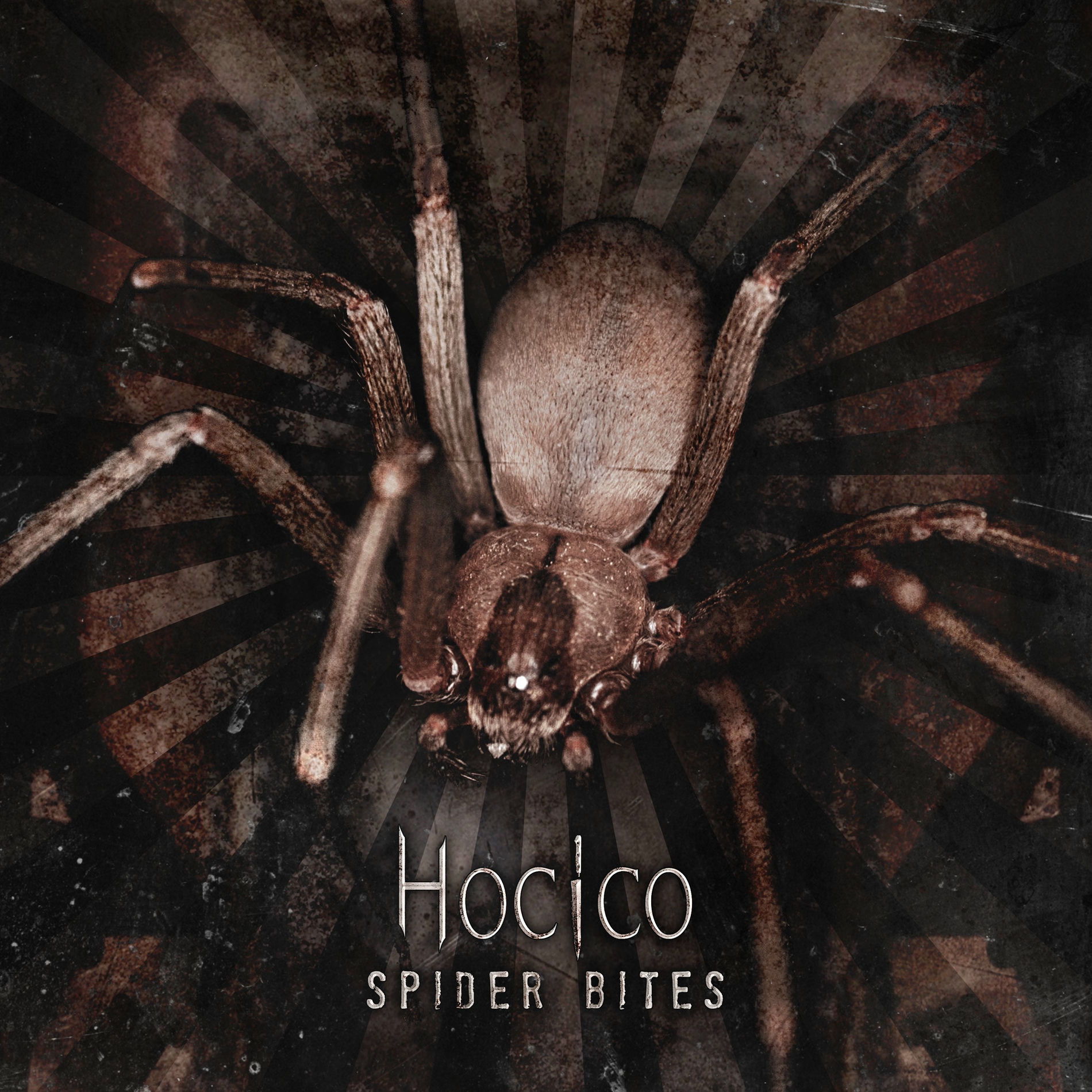 Album cover of Spider Bites