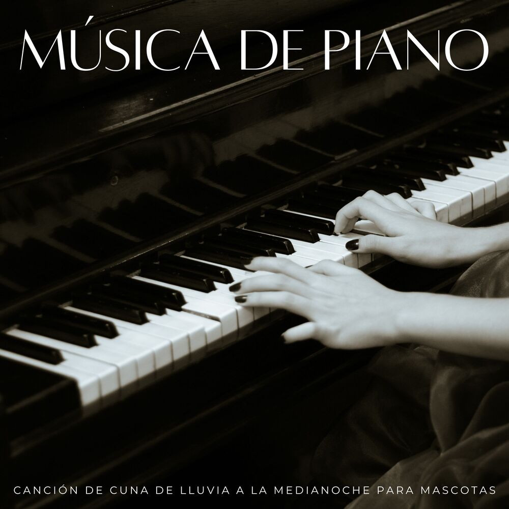 Picture of Música De Piano: Canción De Cuna De Lluvia A La Medianoche Para Mascotas