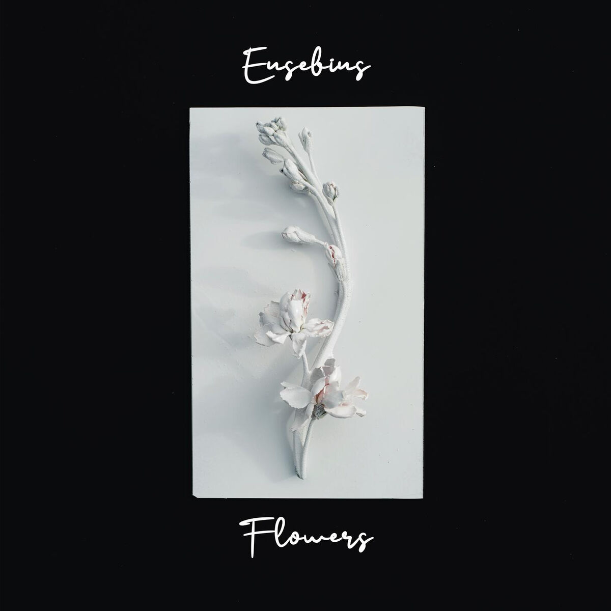 Album cover of Lily of the Valley