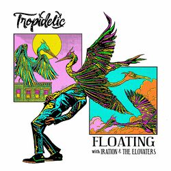Cover of Floating