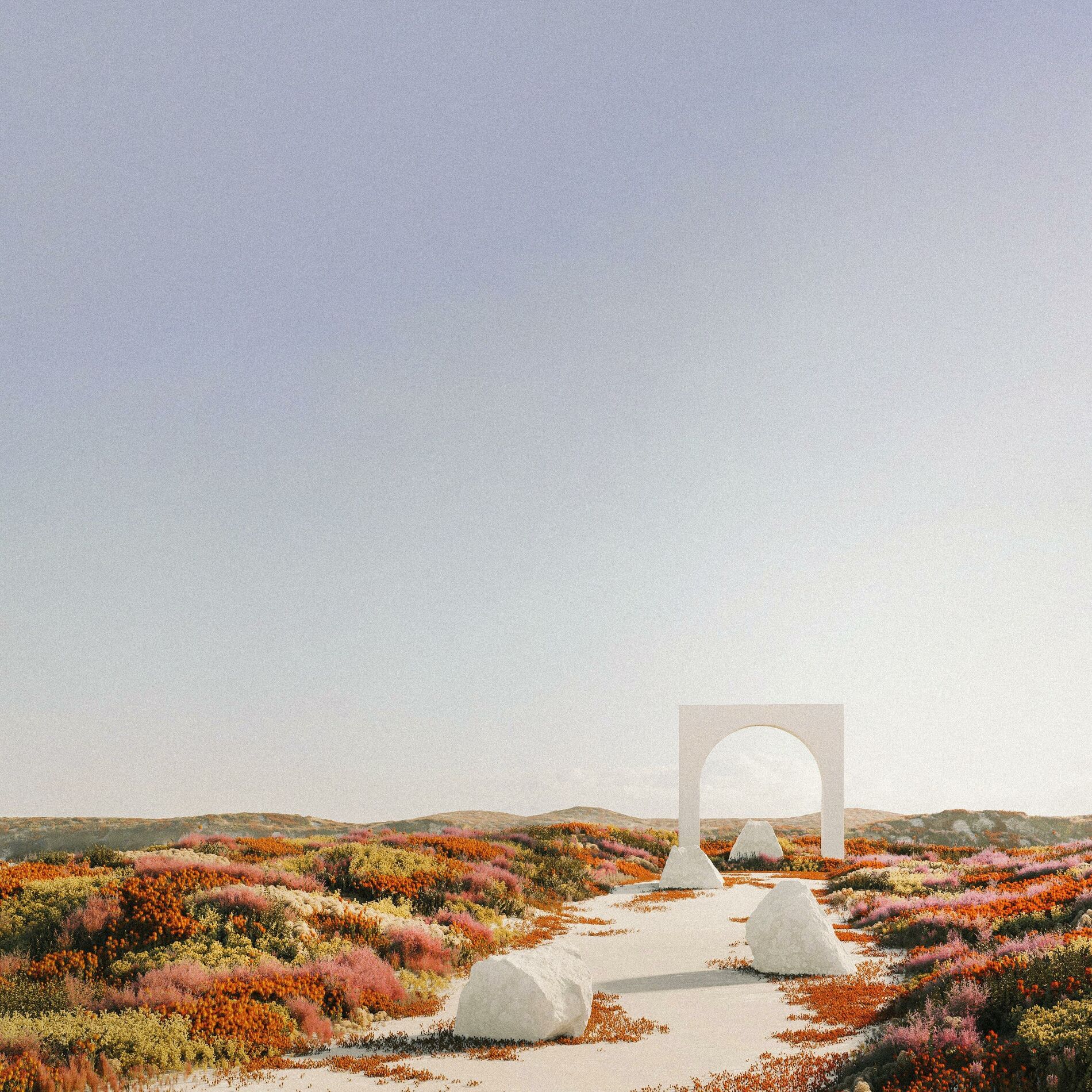 Album cover of dreamfields