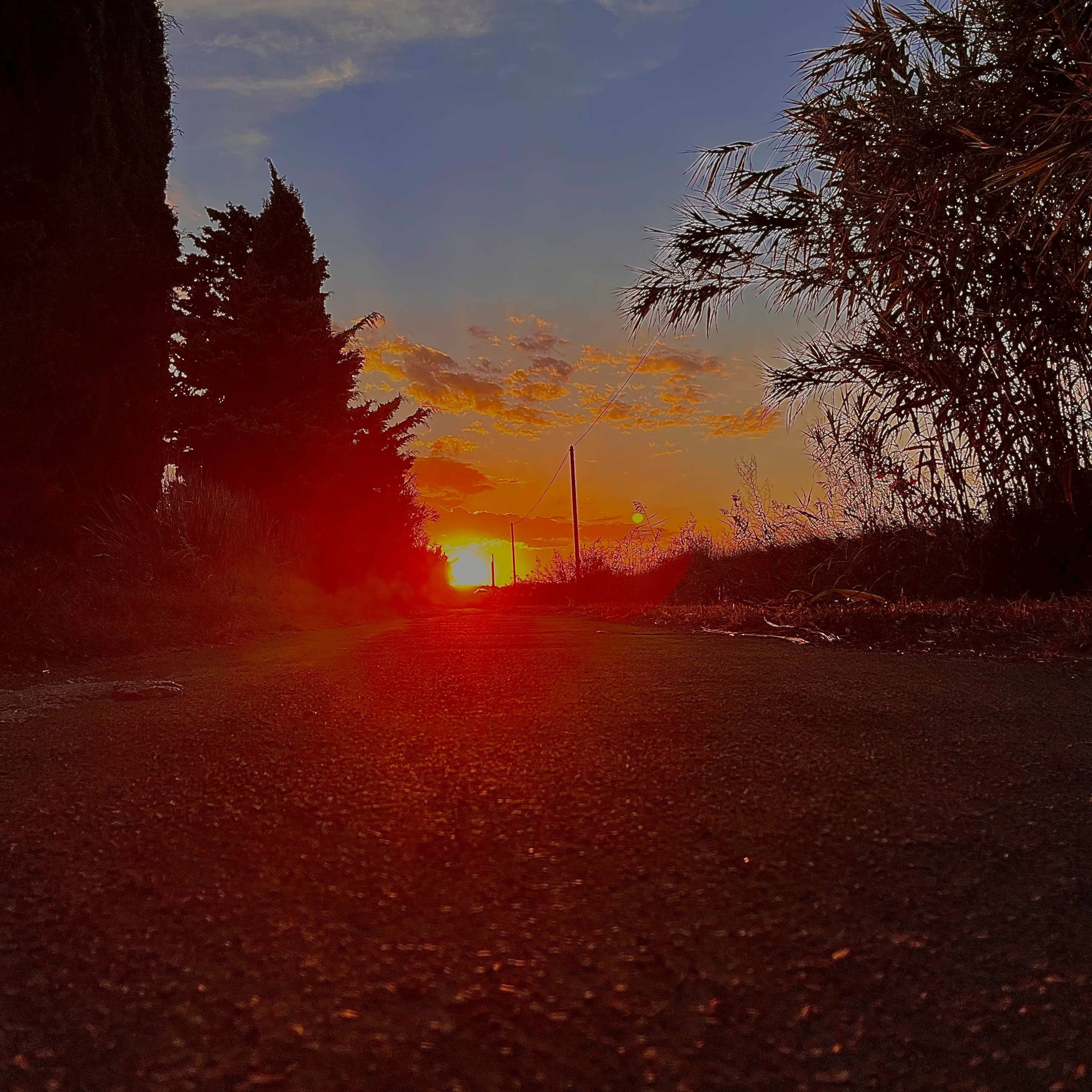 Album cover of Massive Vs. Fade Up (Boa noa Bootleg)