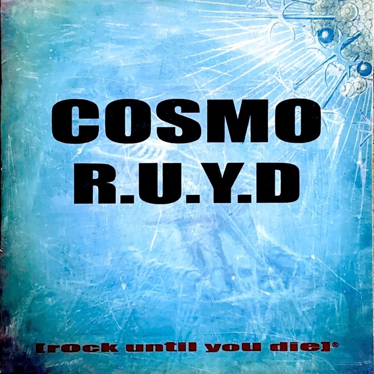 Album cover of Rock Until You Die