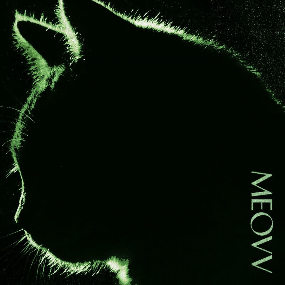 ★非売品◆サインCD◆MEOVV◆MY EYES OPEN VVIDE 71bUfWK-d0L._AC_SY200_QL15_.jpg