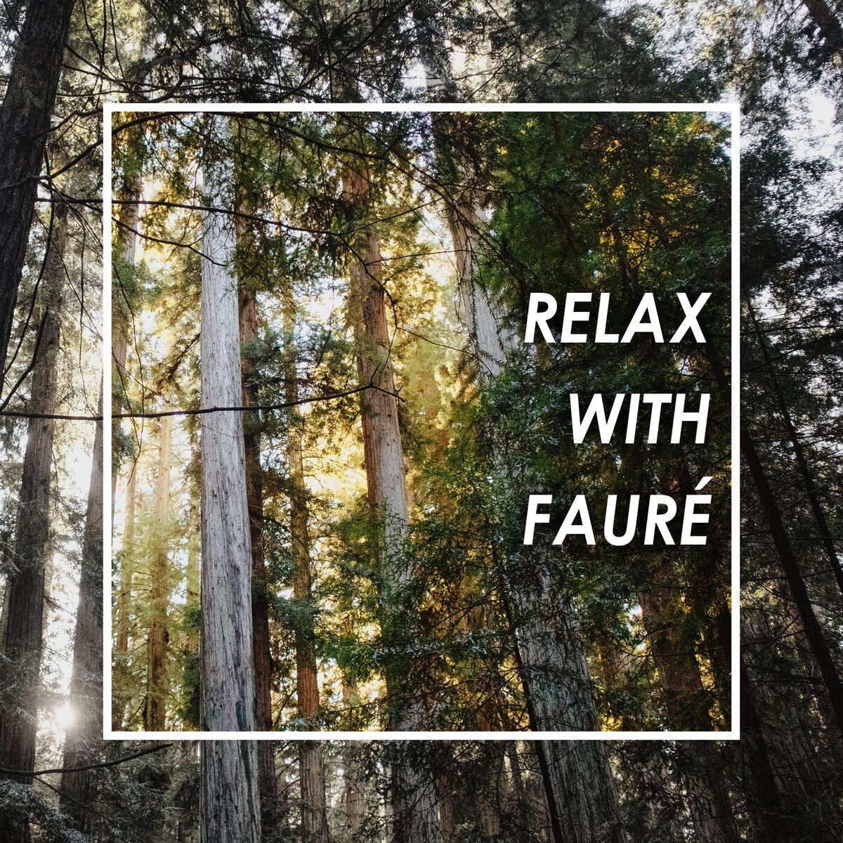 Album cover of Relax with Fauré
