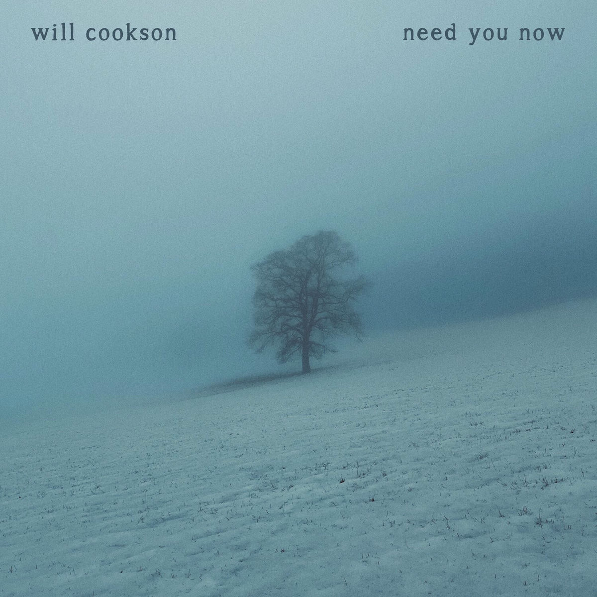 Album cover of Need You Now