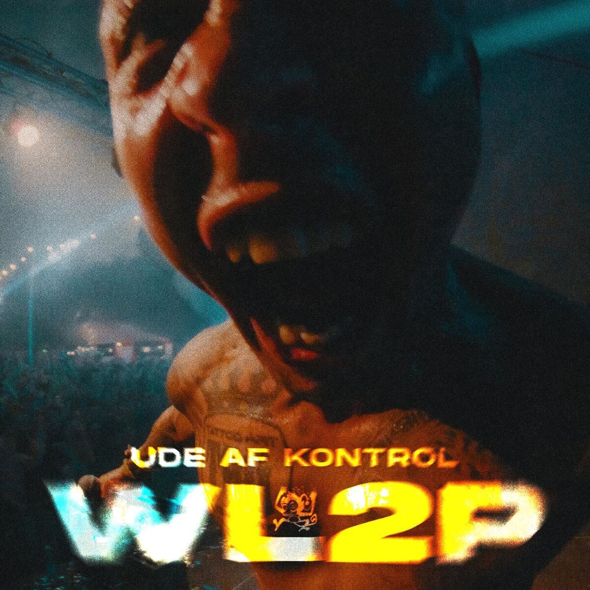 Album cover of We Like 2 Party