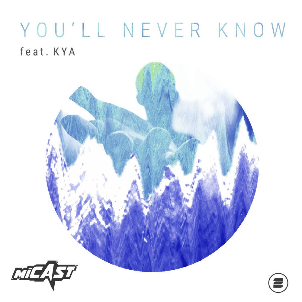 Picture of You'll Never Know