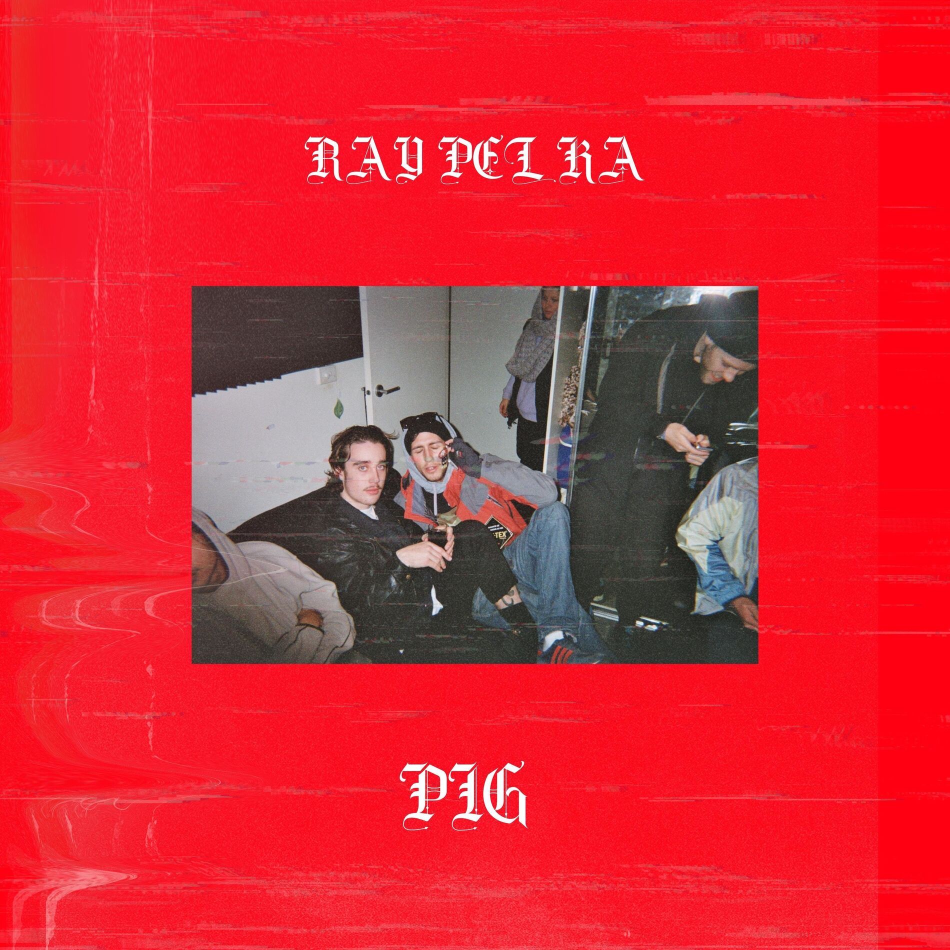 Album cover of PIG