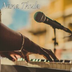 Cover of Nana Thula