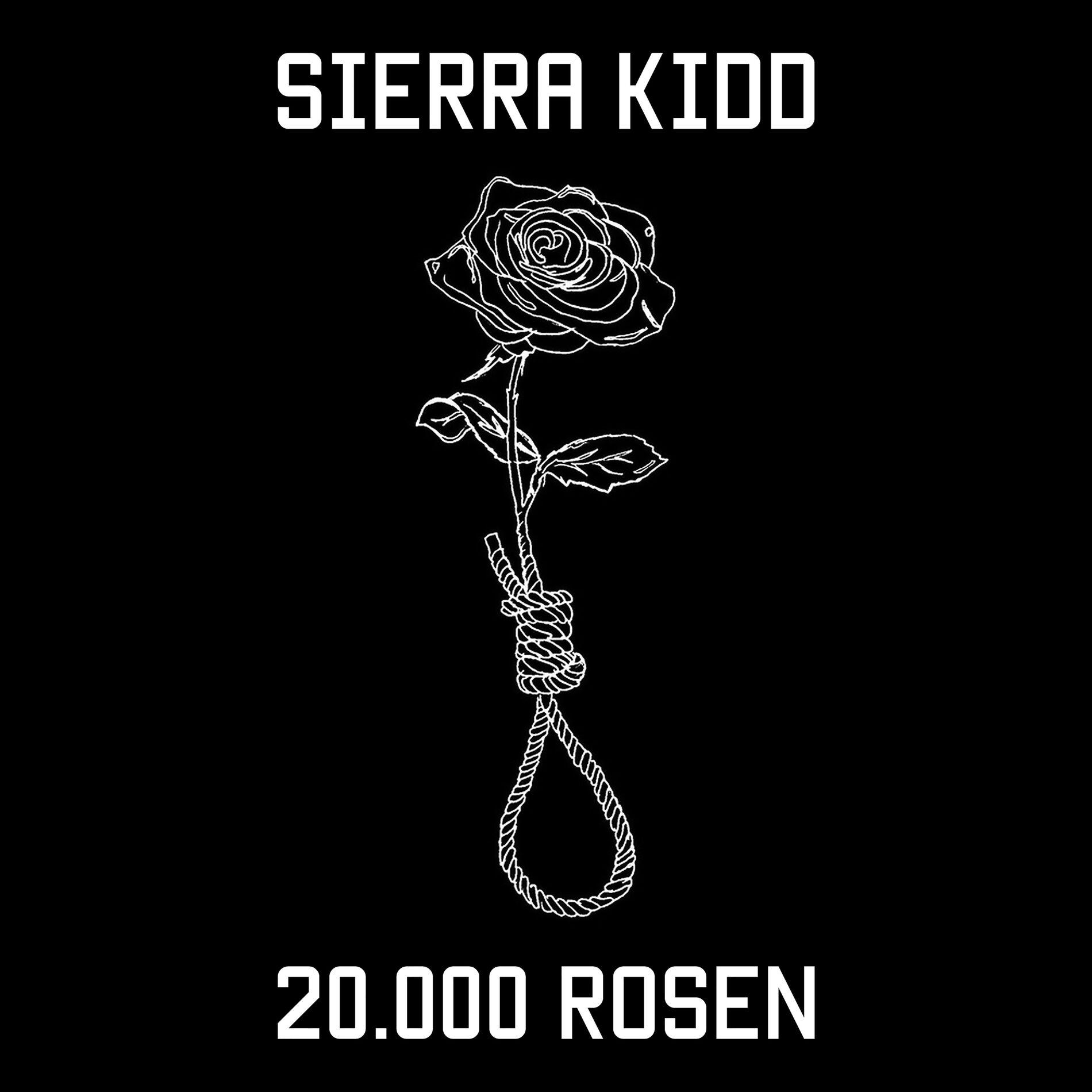 Album cover of 20.000 Rosen