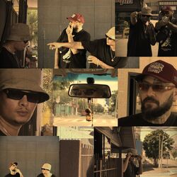 Cover of Antes Que Seja Tarde