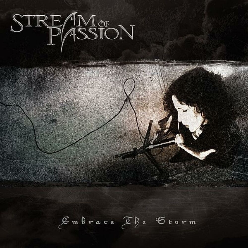Picture of Embrace the Storm
