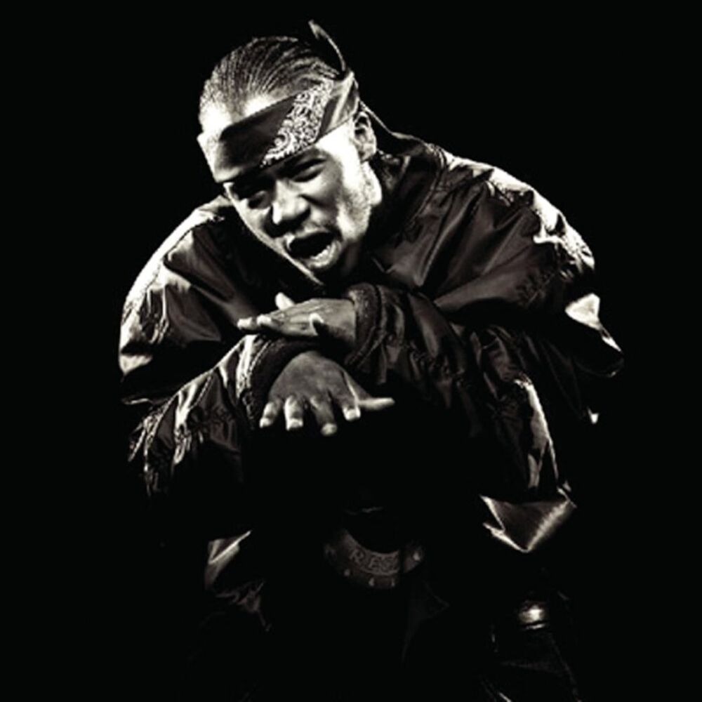 Picture of Tear It Up (feat. DMX, Lil' Flip & David Banner) (Dirty)