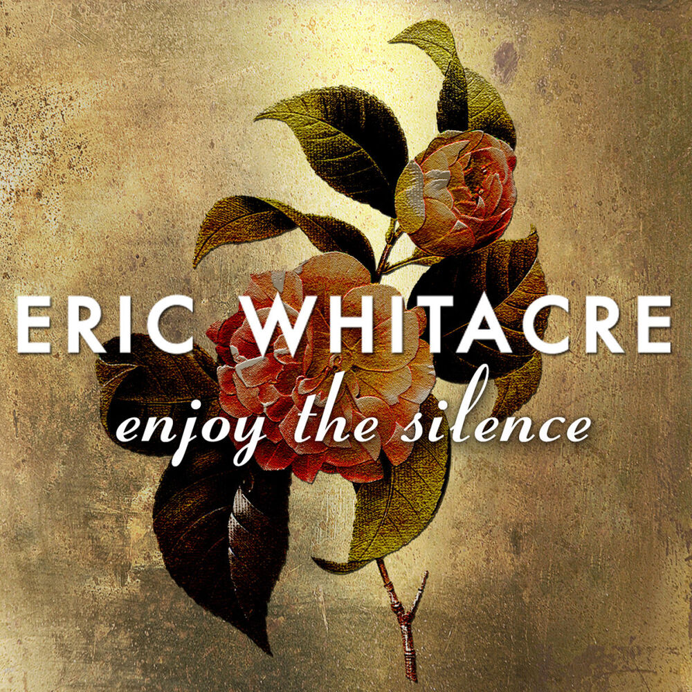 Picture of Enjoy The Silence