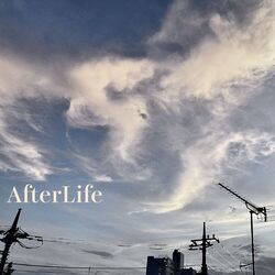 Cover of AfterLife