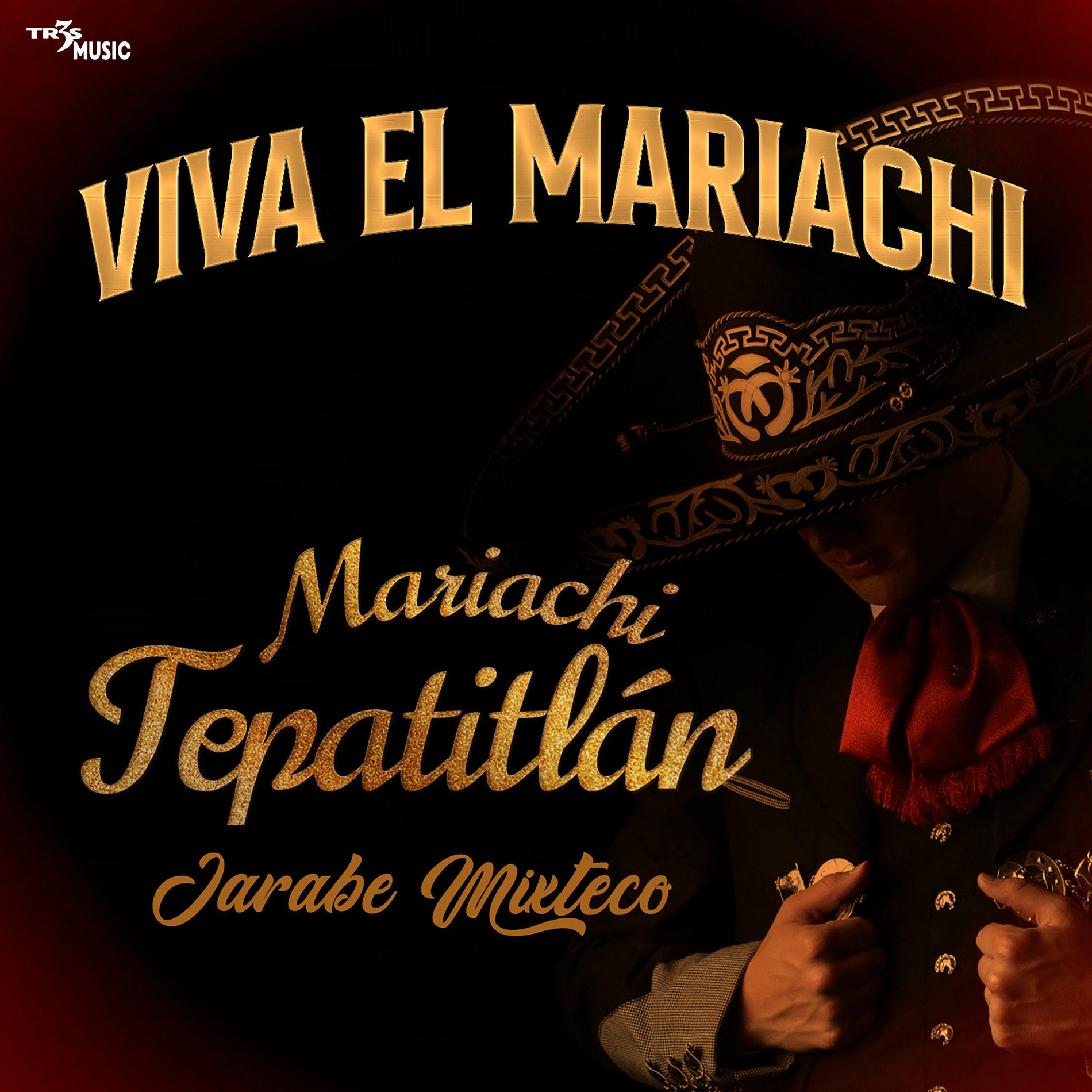 Album cover of Jarabe Mixteco