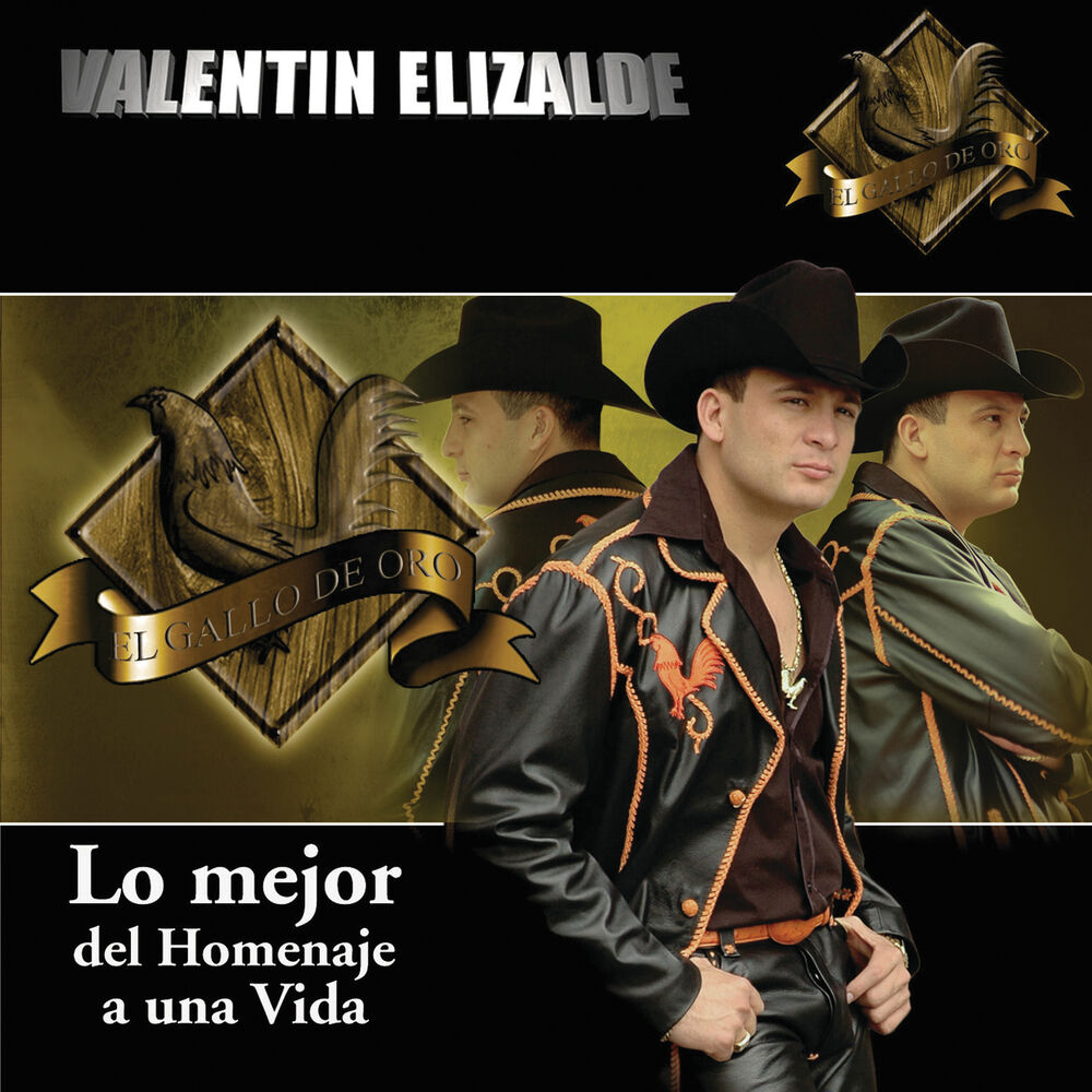 Picture of Lo Mejor De Homenaje A Una Vida