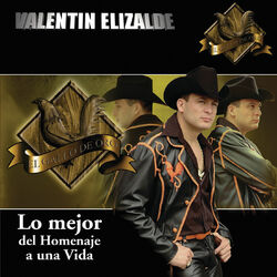 Cover of Lo Mejor De Homenaje A Una Vida