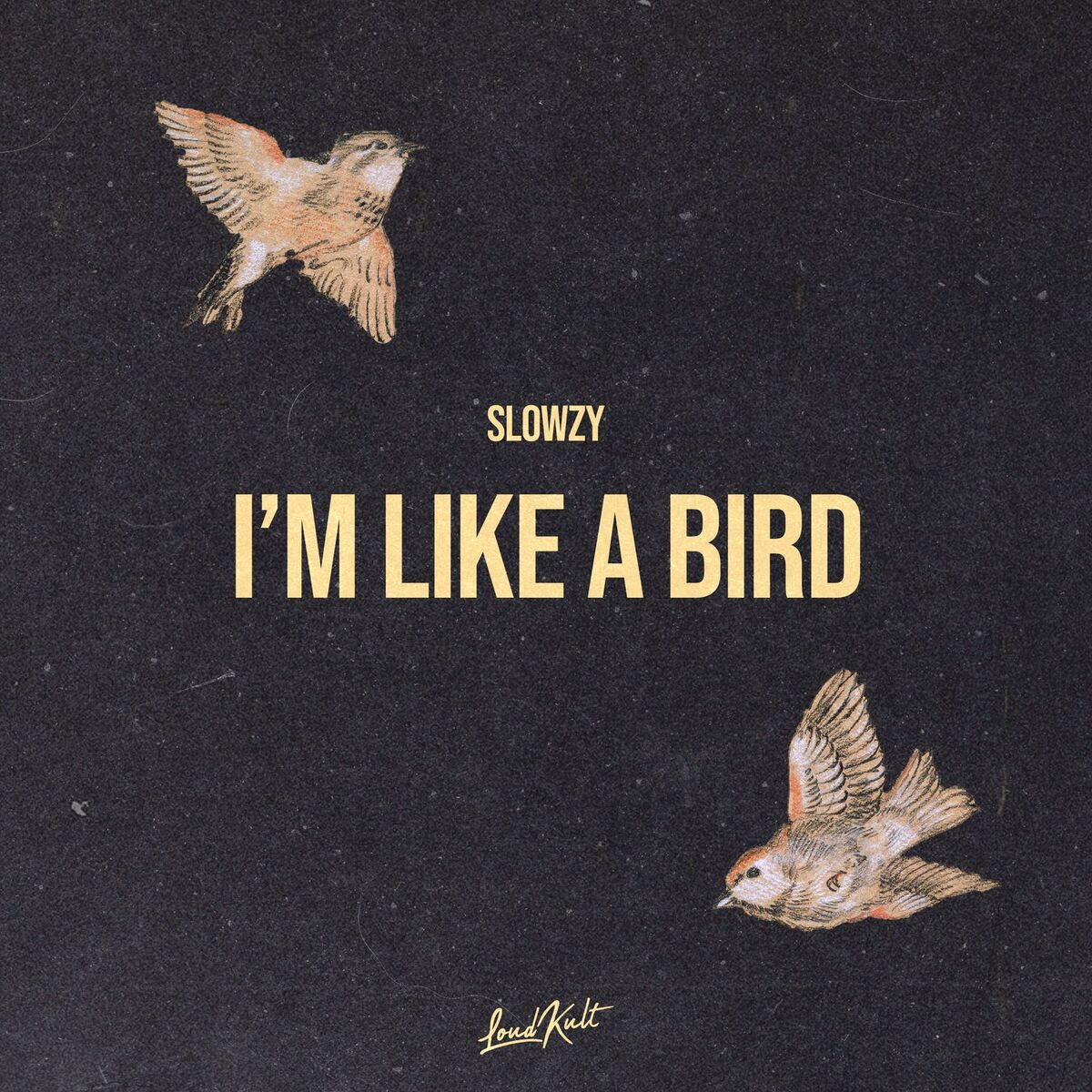 Album cover of I'm Like a Bird