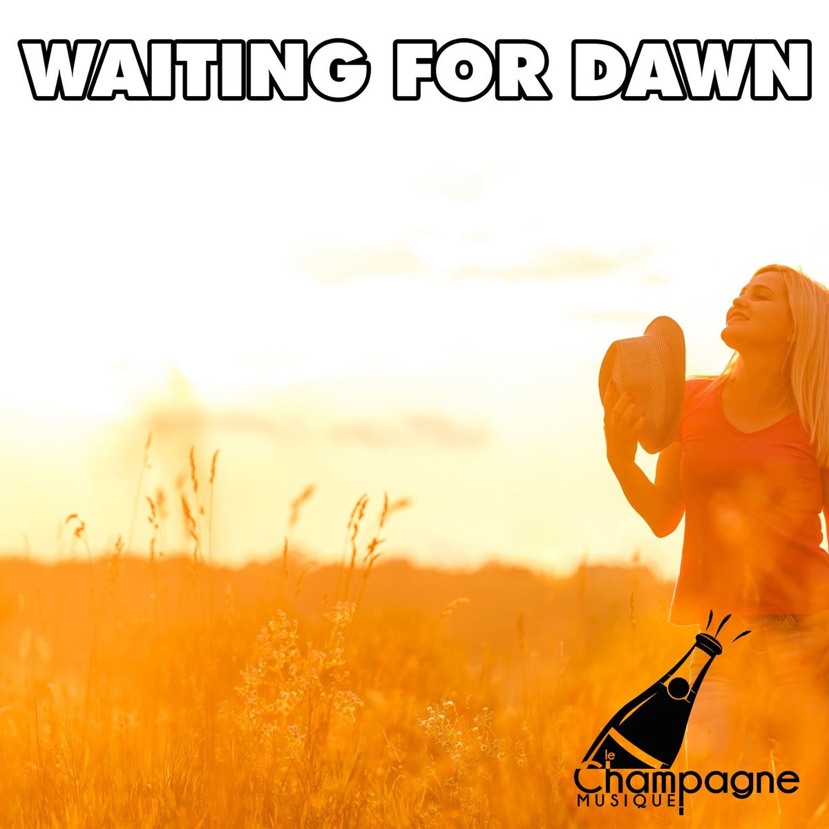 Album cover of Waiting for Dawn