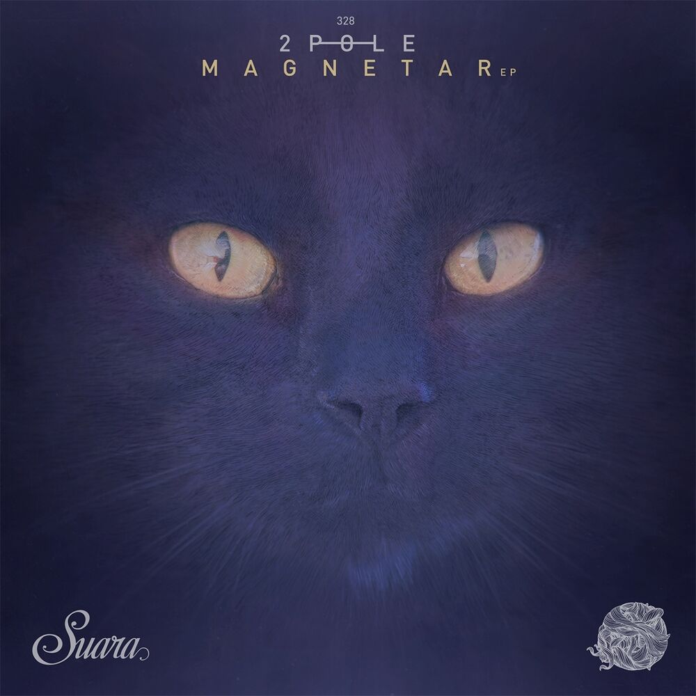 Picture of Magnetar