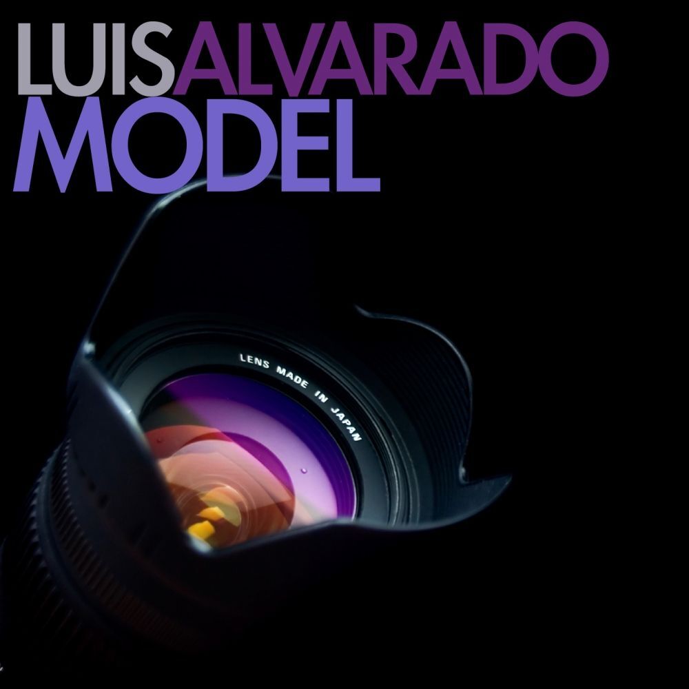 Picture of Model
