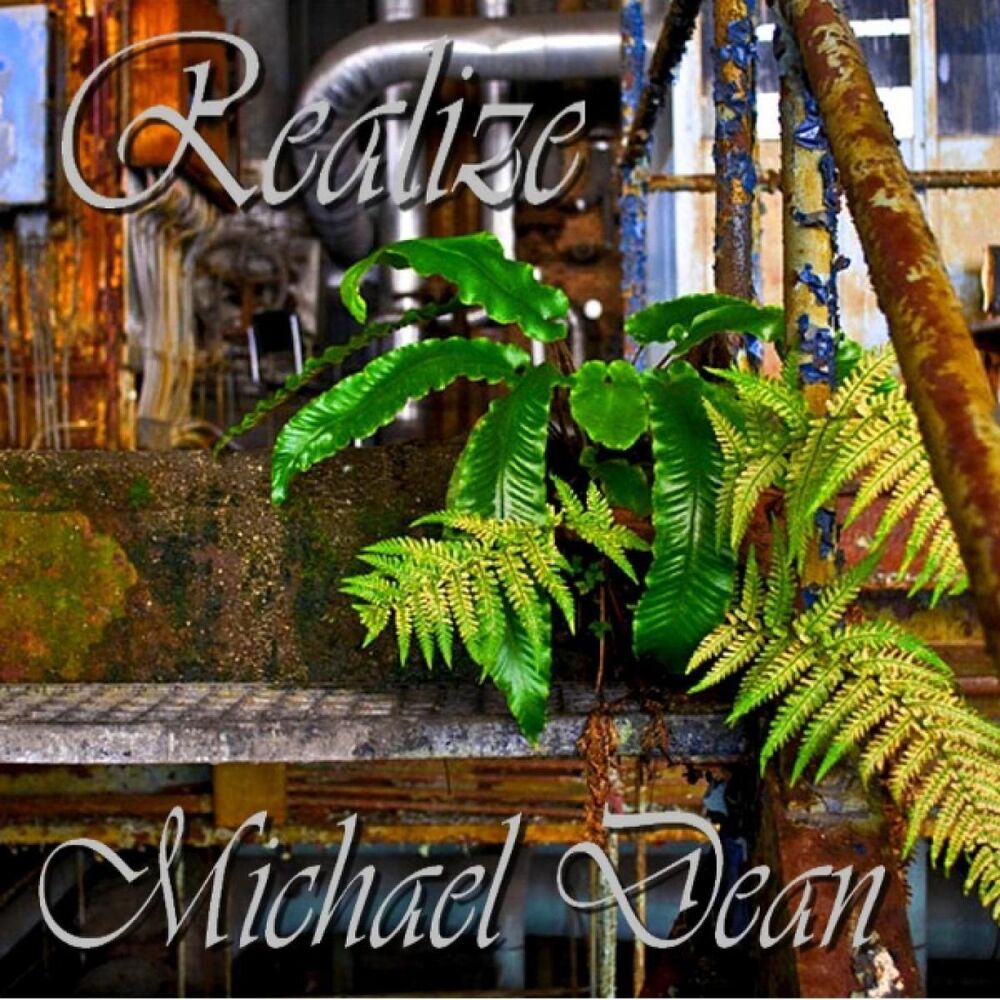 Picture of Realize