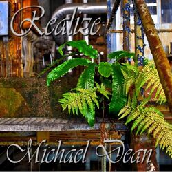 Cover of Realize