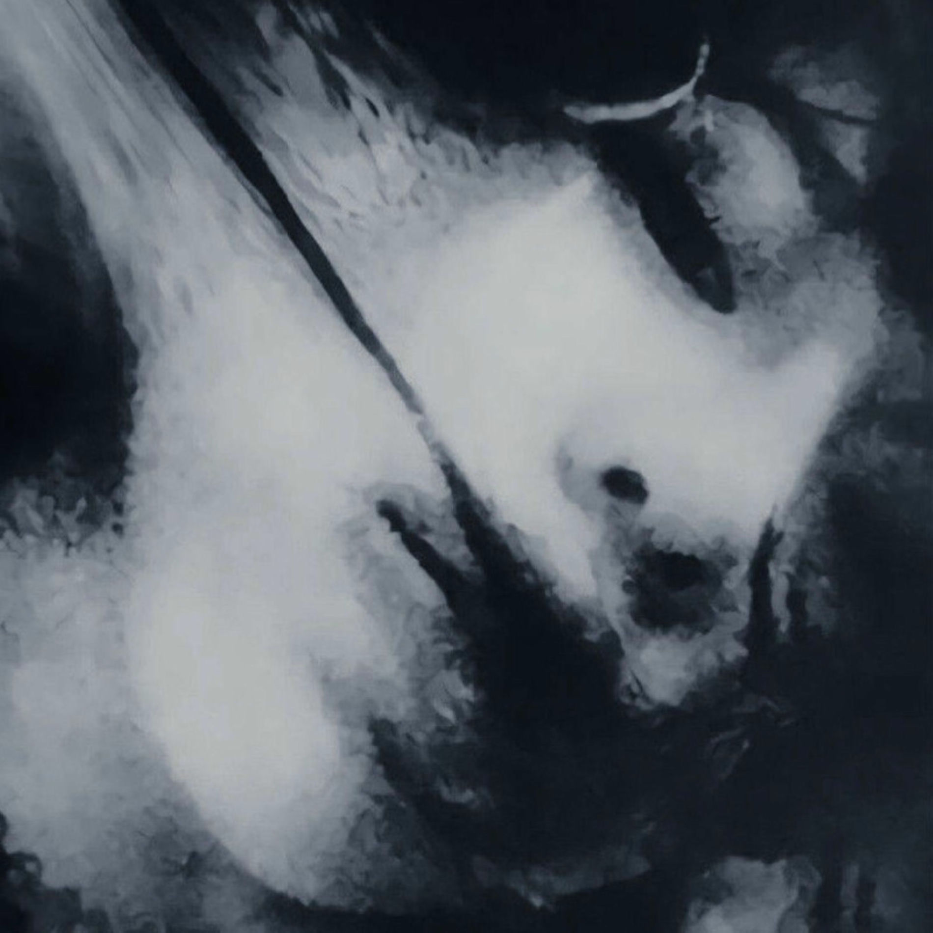 Album cover of CoGnition