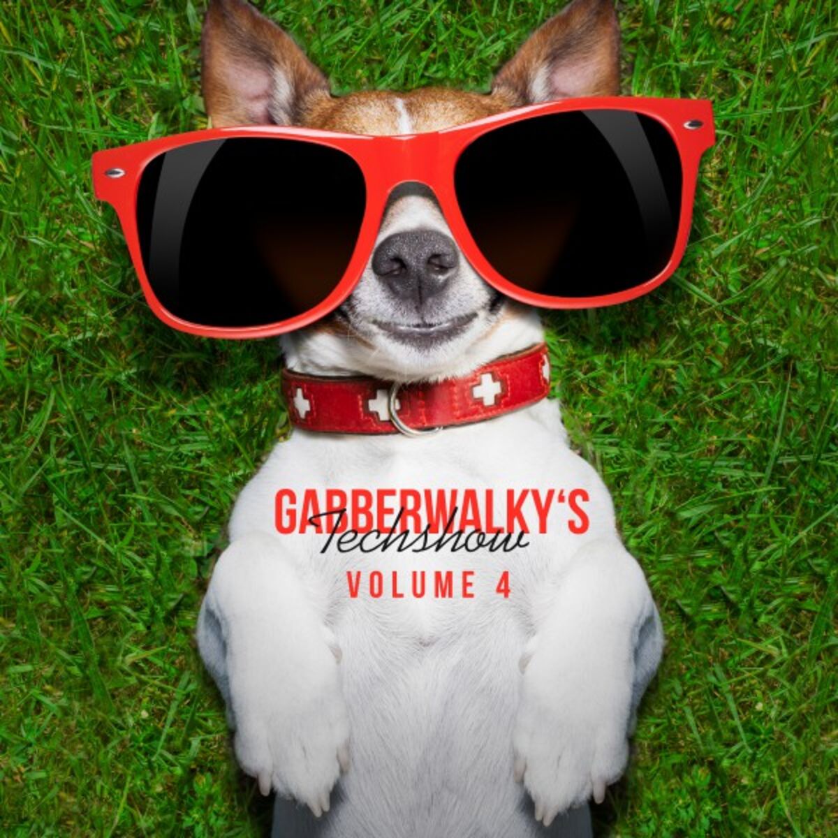 Album cover of Gabberwalky's Techshow, Vol. 4