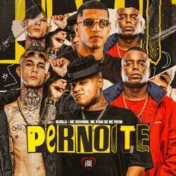 Cover of Pernoite