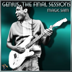 Cover of Genius, The Final Sessions