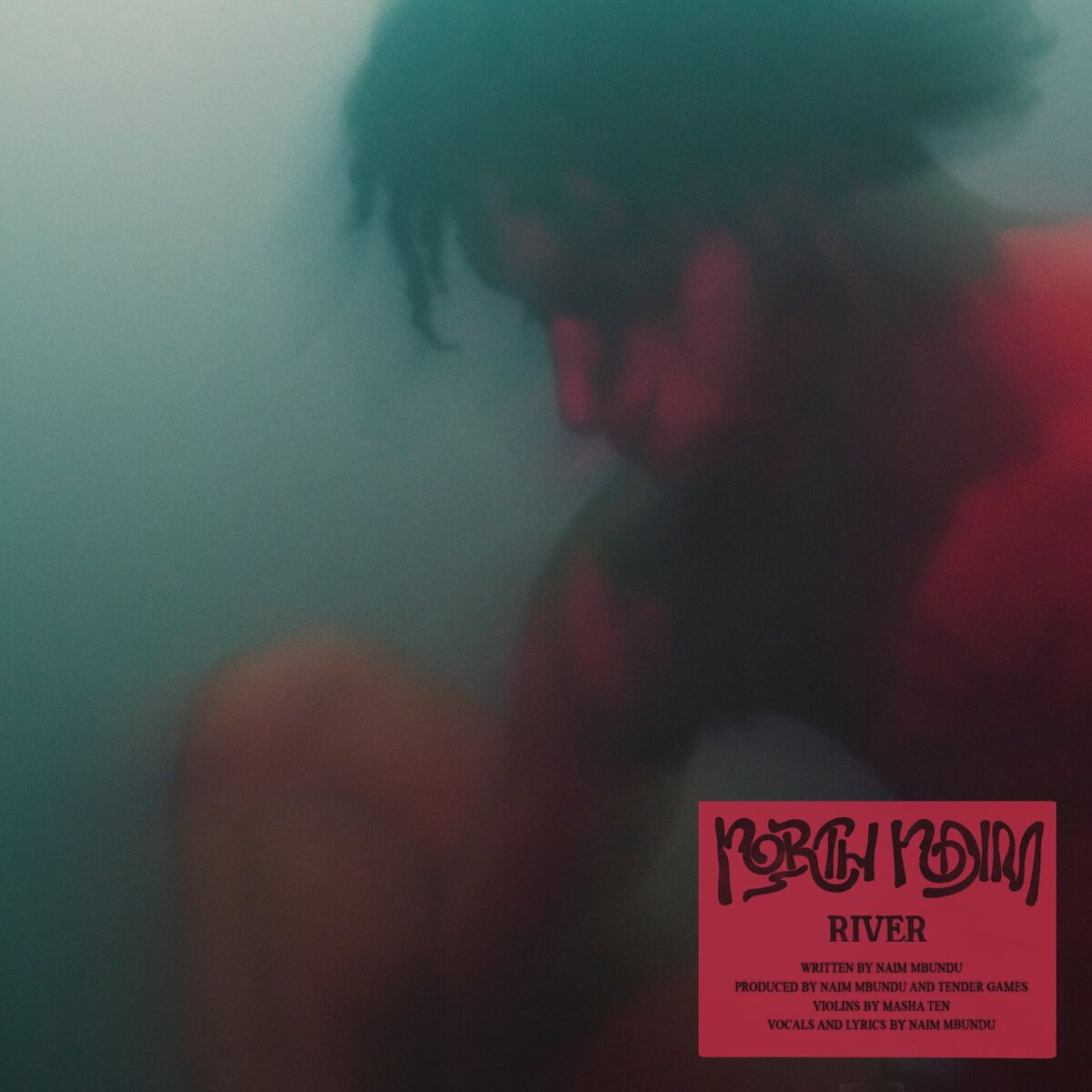 Album cover of River
