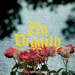 Cover of No Diggity