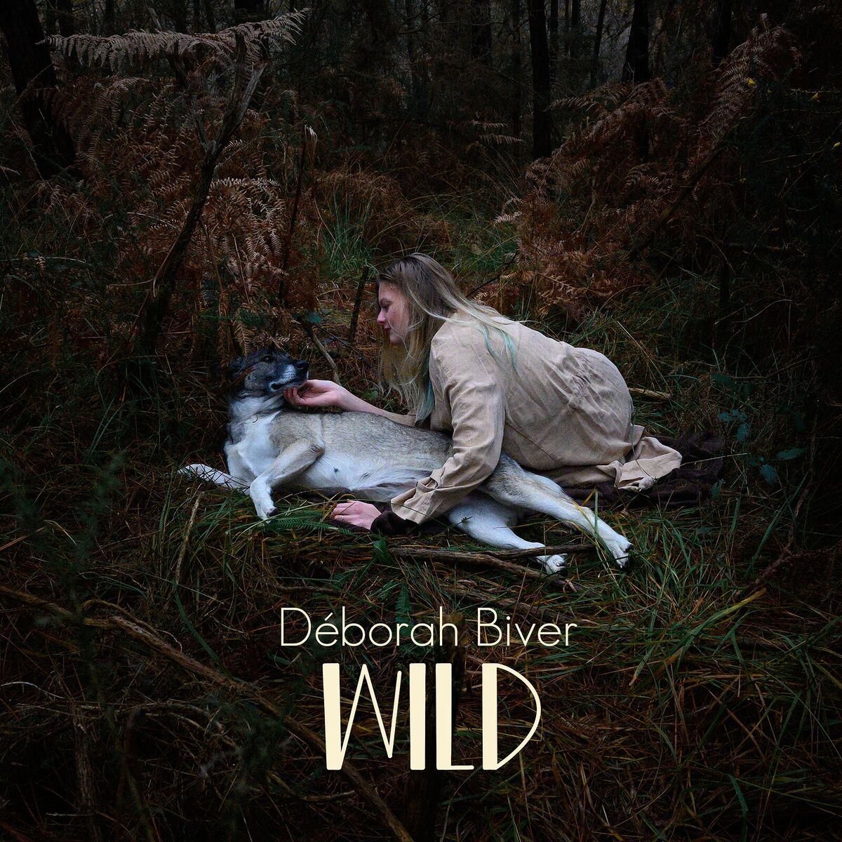 Album cover of Wild